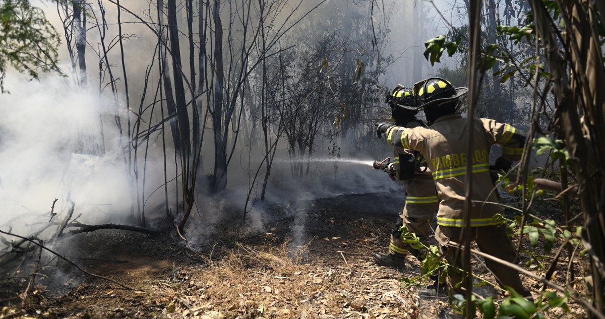 alerta roja incendio forestal vichuquen