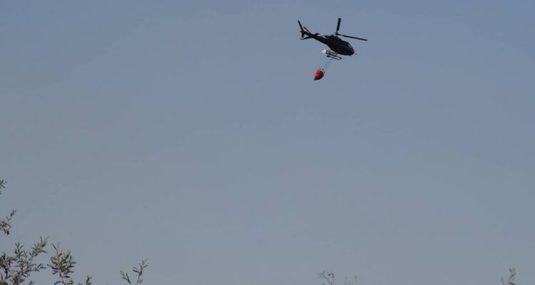 Declaran Alerta Roja en Paine por incendio forestal que se acerca a sector habitado