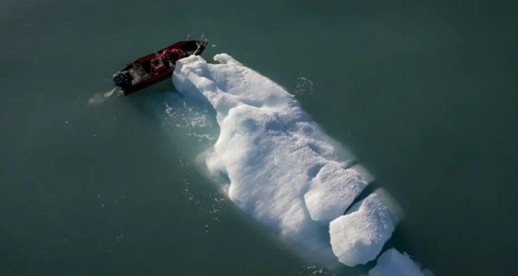 El impacto de un Ártico sin hielo en el ecosistema y el clima preocupa a la comunidad científica | DW
