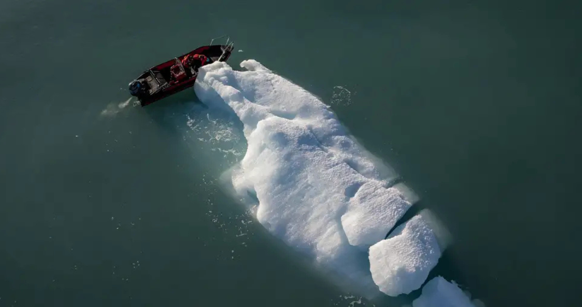 El impacto de un Ártico sin hielo en el ecosistema y el clima preocupa a la comunidad científica | DW