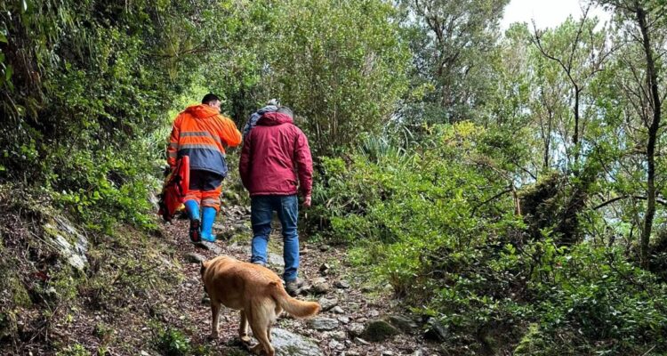 Rescatan a pareja de excursionistas que se perdió en zona cordillerana de Río Negro