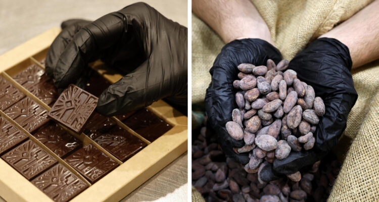 Una no tan dulce navidad: precios del cacao anotan récord y casi se triplican en lo que va del año