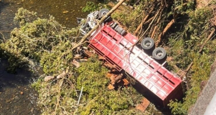 Camión con corderos cae a lecho de río en ruta entre Villarrica y Freire