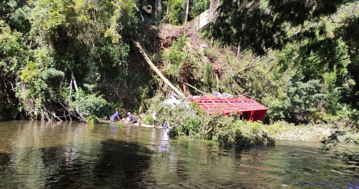 Camión con corderos cae a lecho de río en ruta entre Villarrica Freire