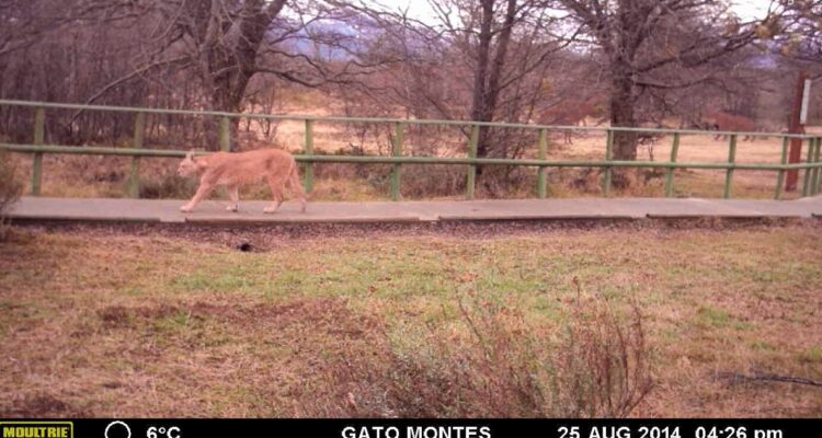 Captura de pantalla, Conaf
