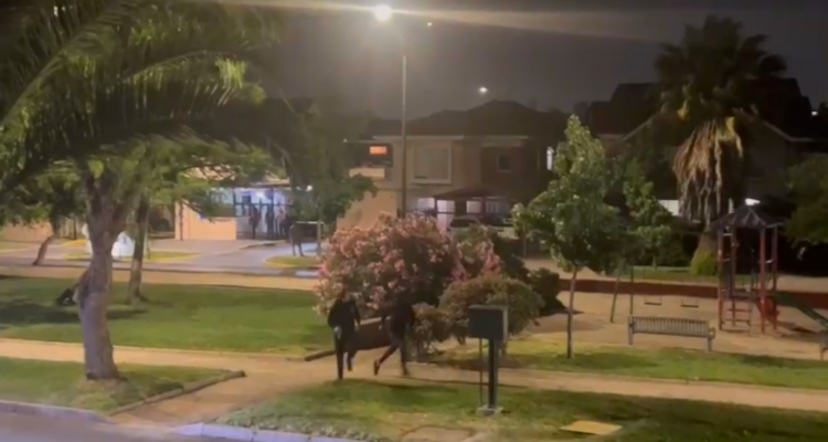 Carabinero logra frustrar portonazo en Maipú mientras paseaba con su familia