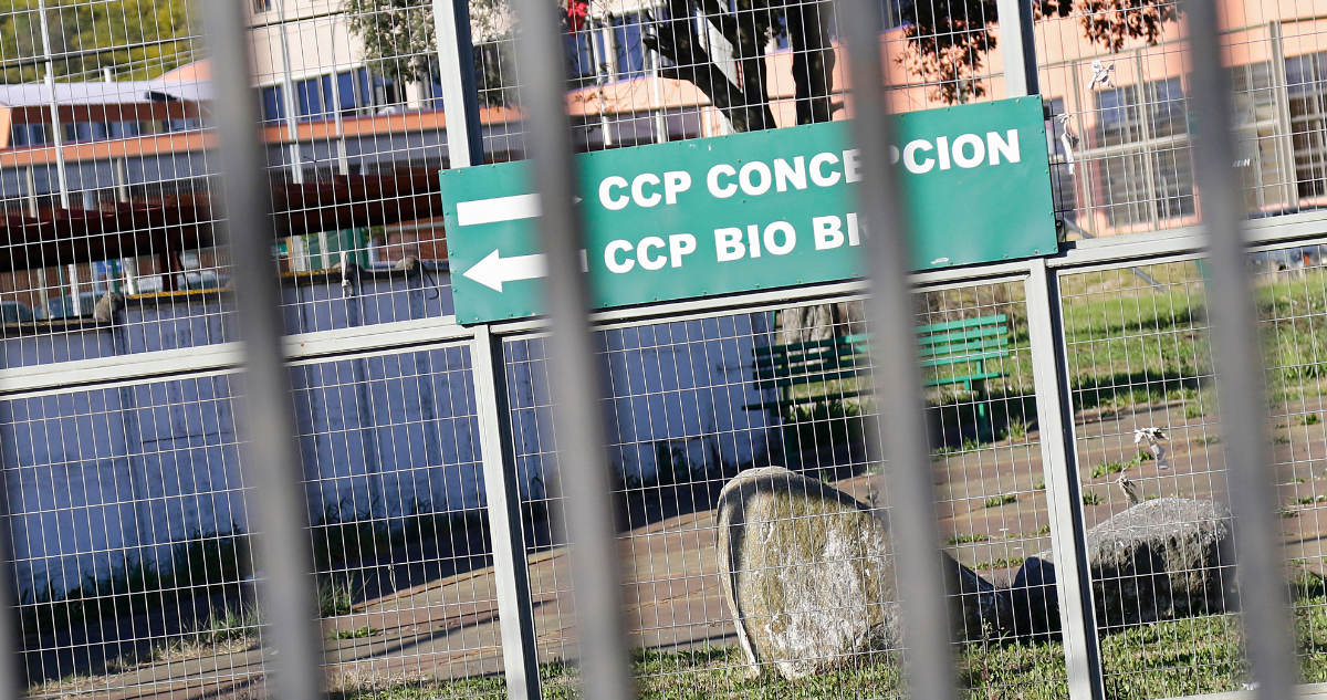 Servicio Médico Legal revela causa de muerte de interno que fue decapitado en cárcel de Concepción