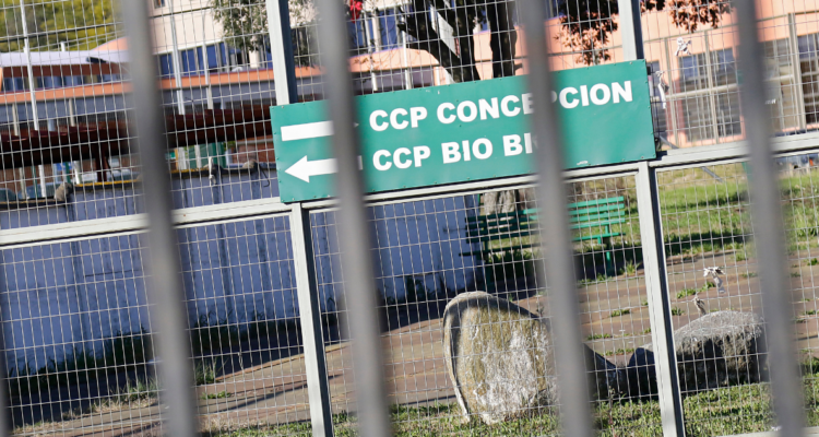 Símbolos satánicos, una biblia y enajenación mental: Gendarmería entrega detalles por reo decapitado