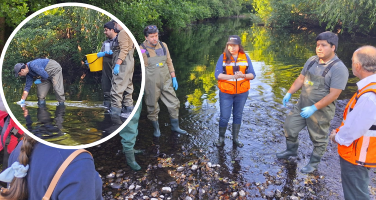 Realizan último monitoreo del año en el Río Damas por del Plan de Descontaminación en Osorno