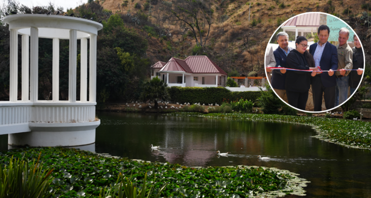 Entregan nuevos avances de reconstrucción del Jardín Botánico en Viña del Mar tras megaincendio