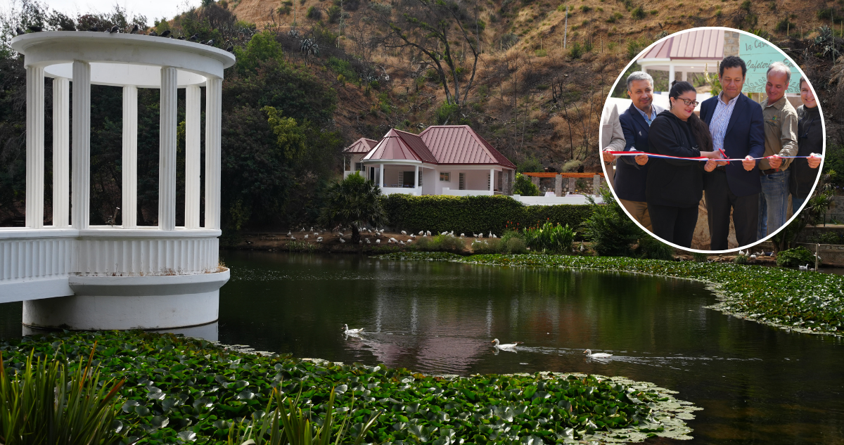 Entregan nuevos avances de reconstrucción del Jardín Botánico en Viña del Mar tras megaincendio