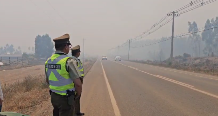 Incendio forestal en Los Álamos afecta 500 hectáreas y delegado informa restricciones en 2 provincias