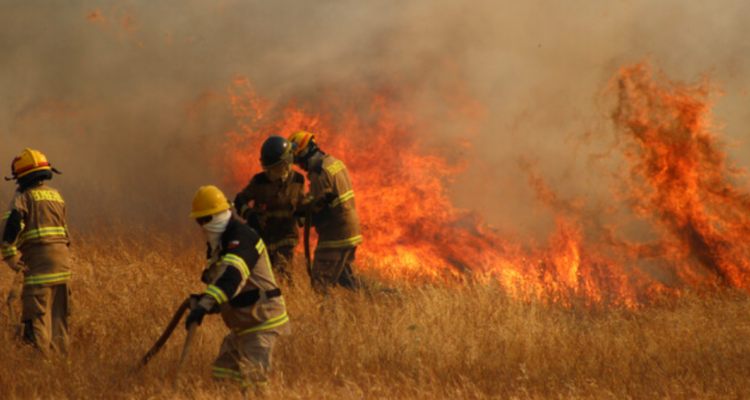 Inicia juicio por incendio en Fundo Yani de Forestal Arauco: acusado arriesga 15 años de cárcel