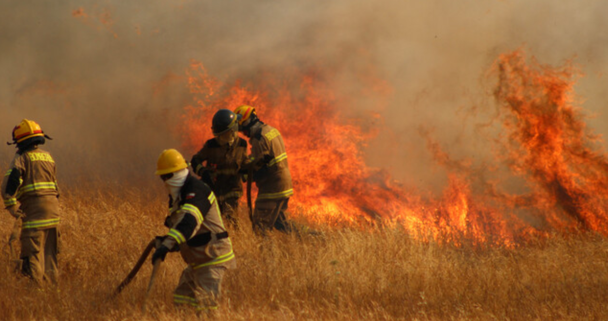 Inicia juicio por incendio en Fundo Yani de Forestal Arauco: acusado arriesga 15 años de cárcel