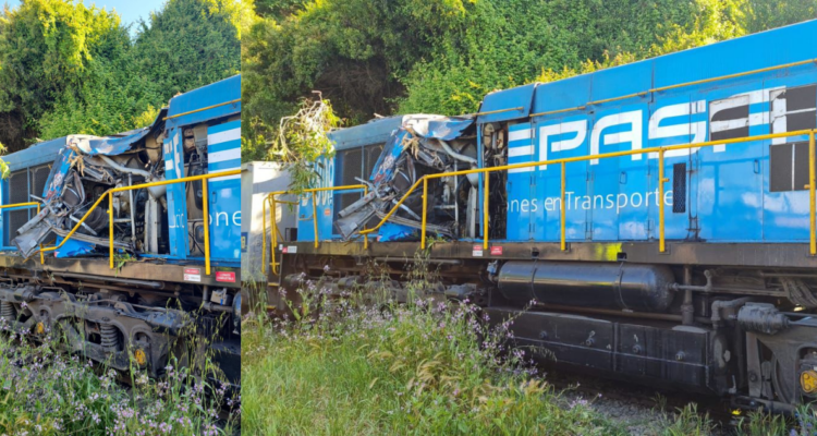 Declaran admisible querella de Forestal Arauco por quema que causó caída de árbol sobre tren en Lota