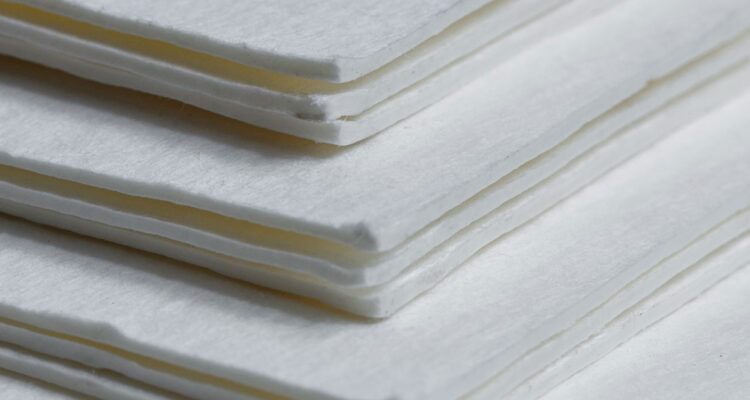 La celulosa, el pilar verde para un futuro natural: sus usos, innovaciones y desafíos de la industria