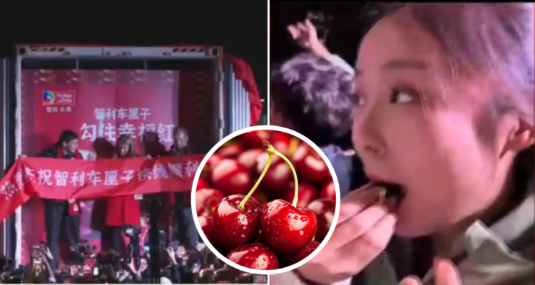 Furor por las cerezas en China