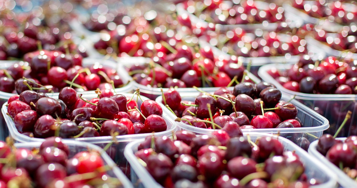 Gobierno destaca “peak de envíos de cerezas” a Asia por el Año Nuevo chino