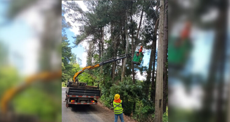 CGE reporta más de 111 mil gestiones en terreno para resguardar el servicio en caso de incendios