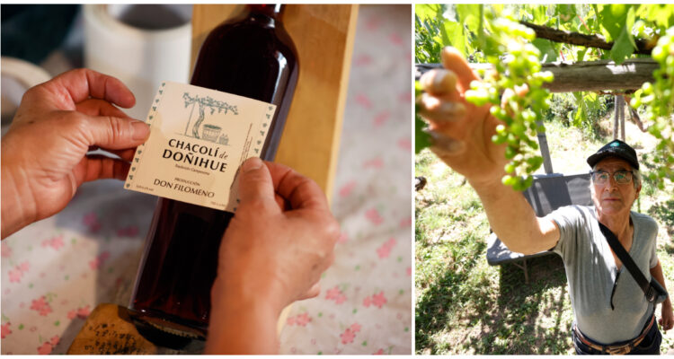 “Despreciado”: el regreso de txakoli, vino que fue popular en Chile y que cayó en el ocaso