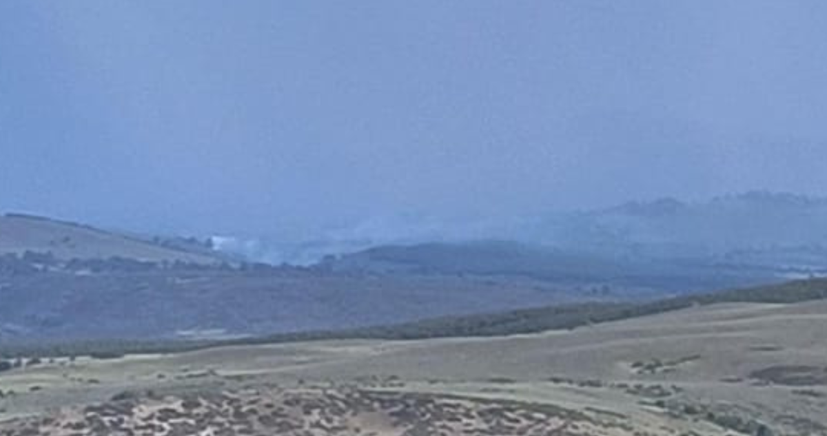 Declaran Alerta Roja en Lonquimay por propagación de incendio forestal: bomberos trabaja en el lugar