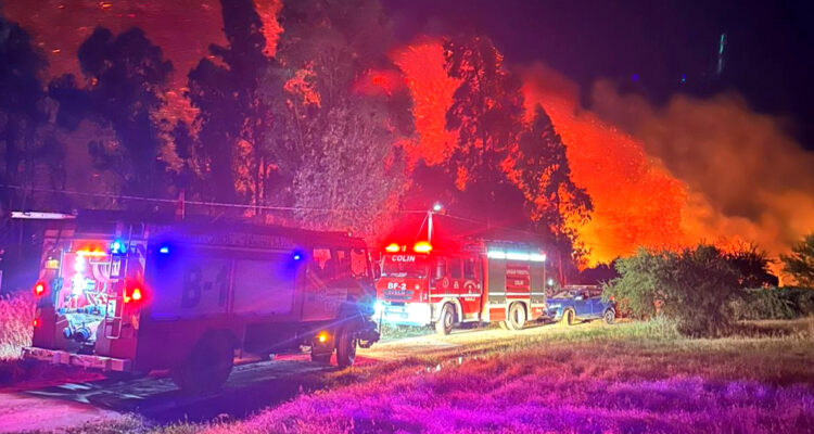 Declaran Alerta Roja en Maule por incendio forestal cercano a zonas pobladas