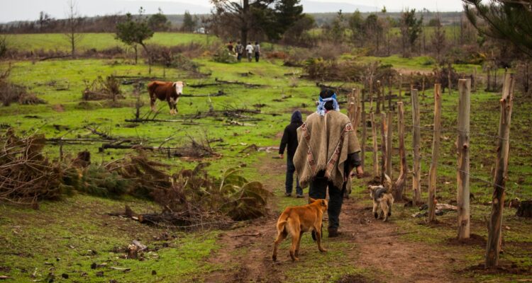 Critican propuesta de miembros de Comisión para la Paz que demandan más de 380 mil hectáreas agrícolas