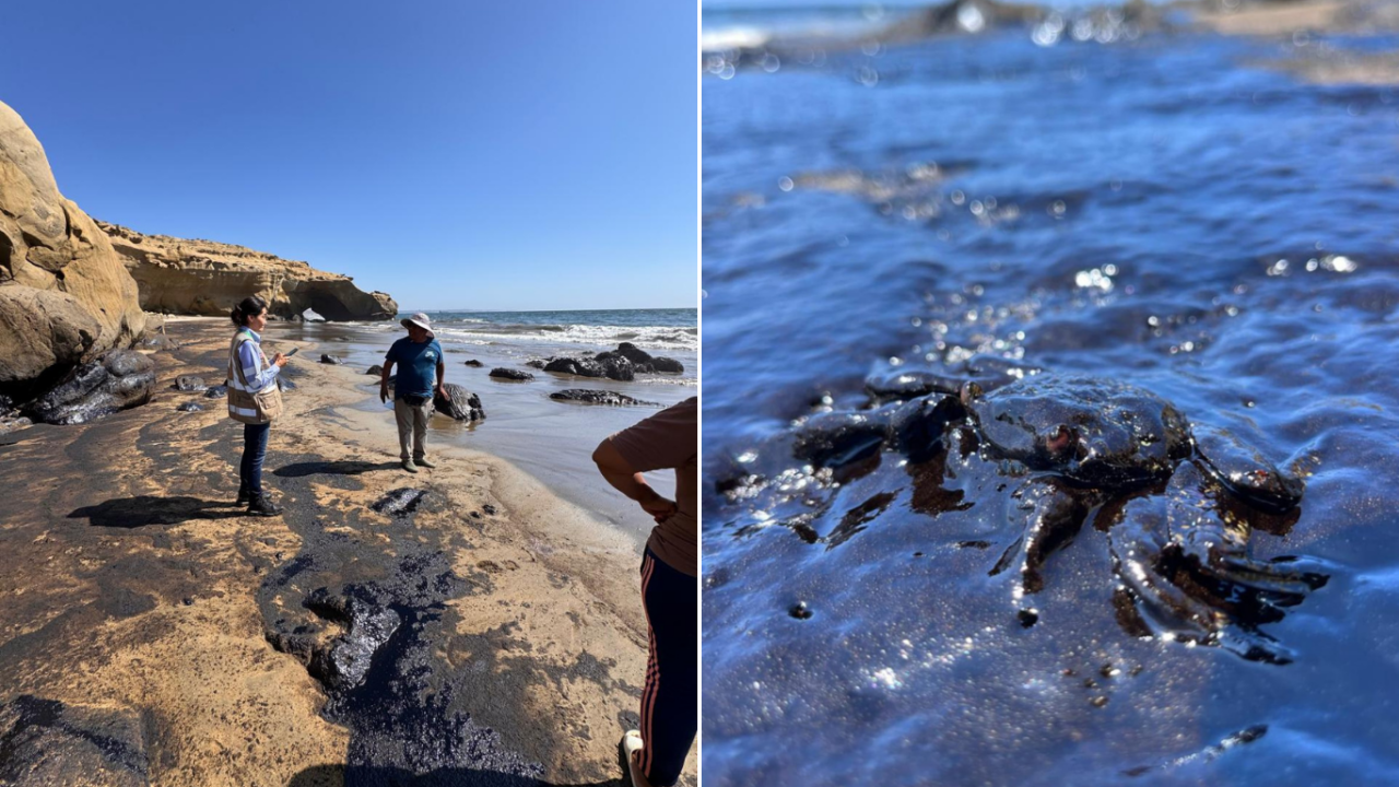 En las imágenes, los de