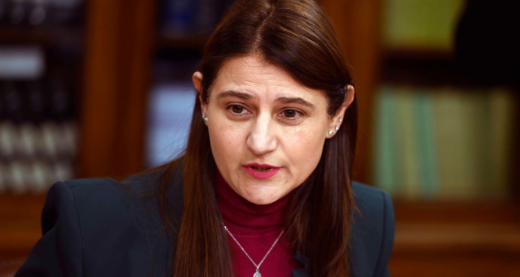 diputada cid caso monsalve