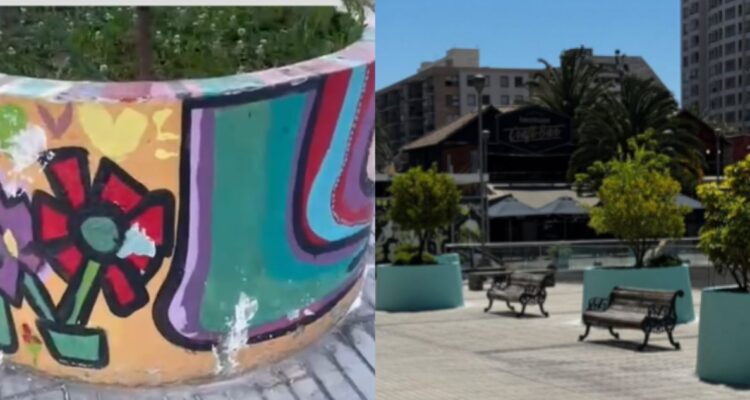 Denuncian que gestión Sichel borró dibujos de niños TEA en Ñuñoa: alcalde explica el por qué