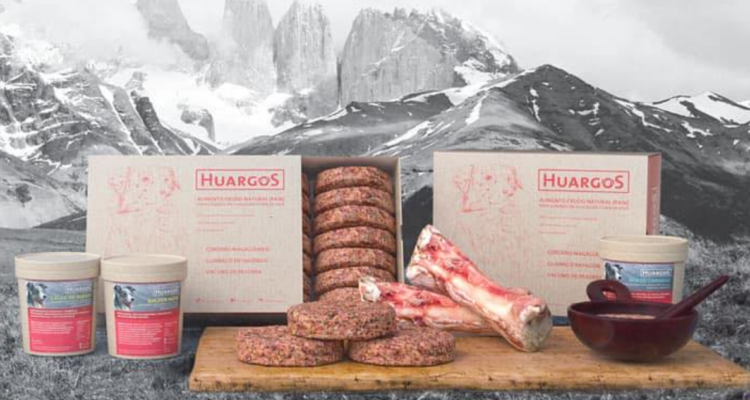 Familia Kast se querella contra representantes de startup Huargos por estafa de US$200 mil