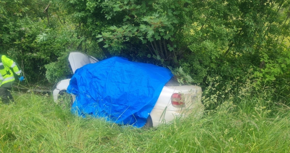 Fatal accidente de tránsito en ruta Los Lagos Panguipulli