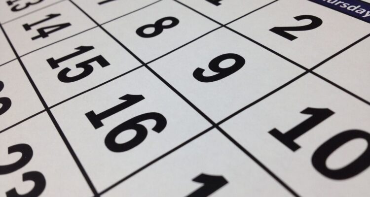 Cuáles serán los 6 fines de semana largo del 2025 según el calendario nacional y cuáles serán los feriados que habrá en el año en Chile.