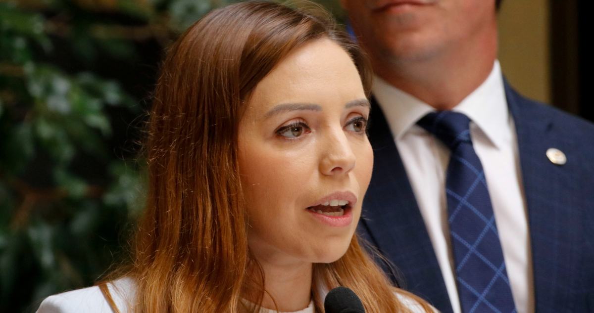 Flores acusa “falta de compromiso” por ausencia del oficialismo en discusión de Ley de Inteligencia