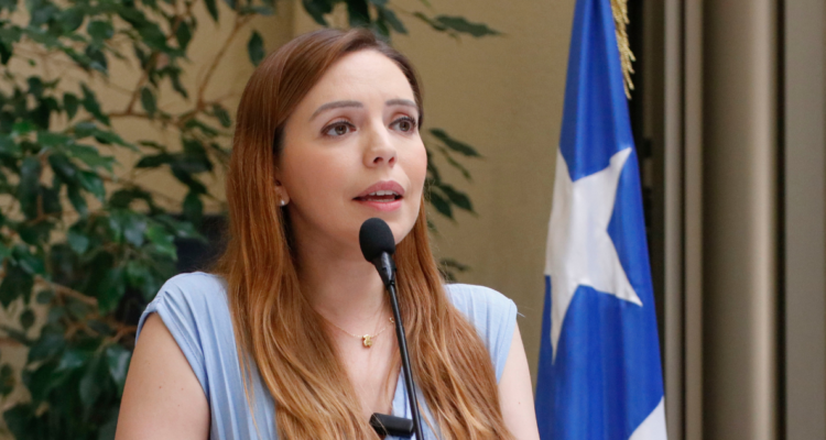 Flores (RN) por eventual “perdonazo” migratorio: “A esas personas no se les perdona, se les expulsa”