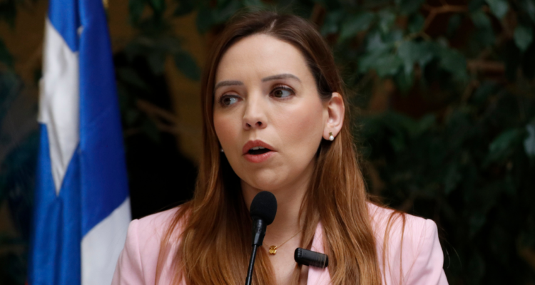 Flores (RN) por movilización sobre pensiones: “No nos dejaremos amedrentar por la ultraizquierda”