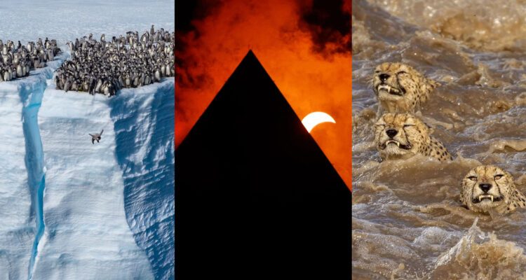 Bertie Gregory | Chip Somodevilla | Buddhilini de Soyza