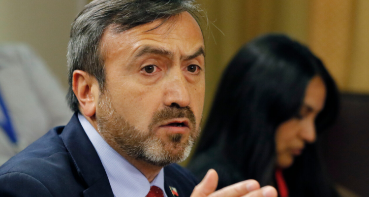 Diputado Pulgar