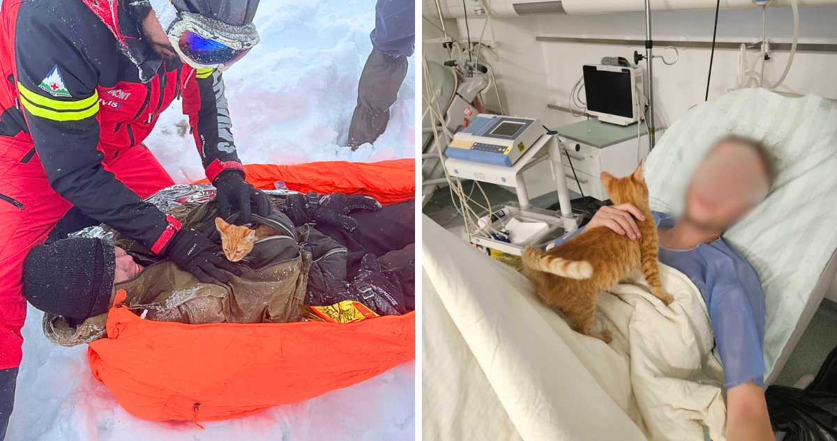 Gato salvó la vida de hombre que huyó de la guerra en Ucrania.