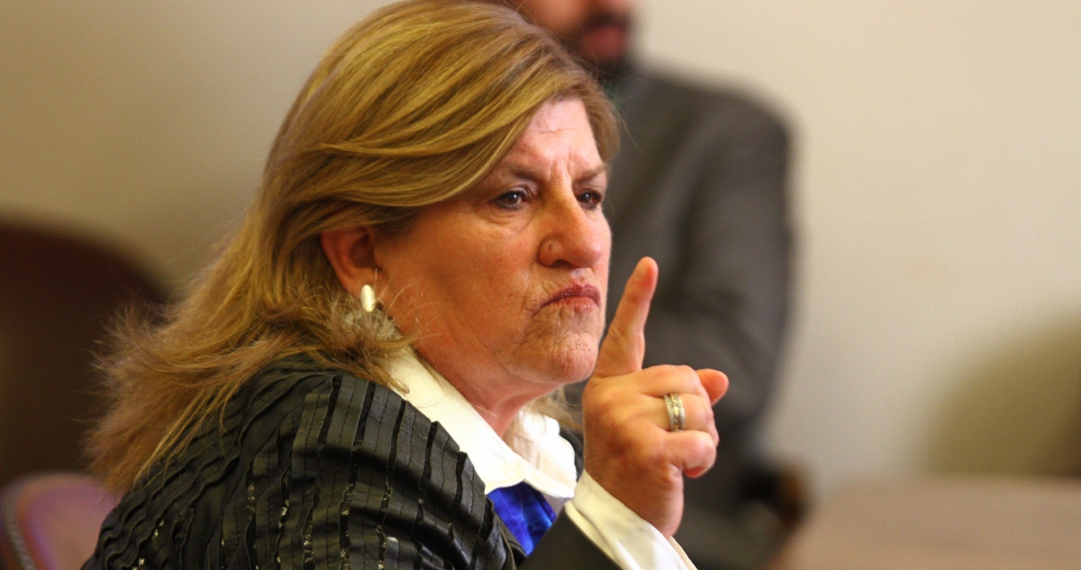Gloria Naveillan oficia a Contraloría para investigar compra de terreno en Freire
