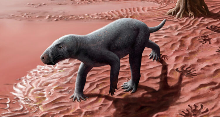 Representación artística de un gorgonopsio, el antepasado más antiguo de los mamíferos