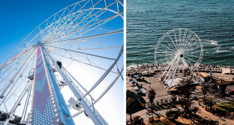 Gran Rueda en Viña del Mar: cuánto cuestan las entradas y hasta cuándo estará en la ciudad
