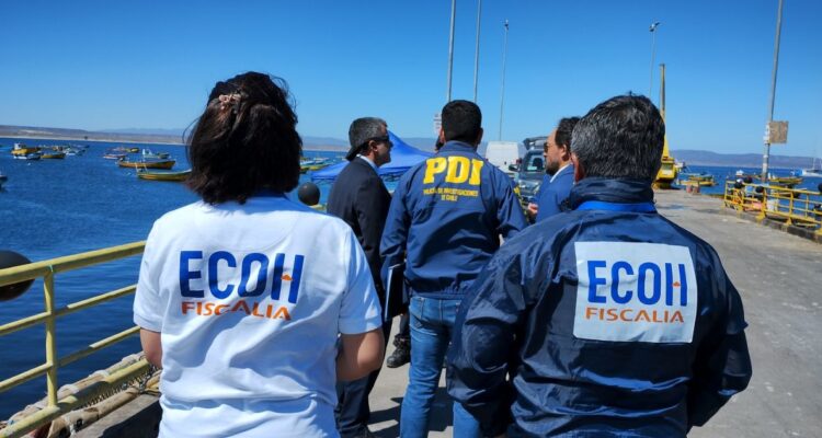 Reportan hallazgo de dos cuerpos en Playa Grande de Tongoy