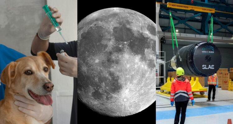 Hitos científicos que marcaron Chile 2024