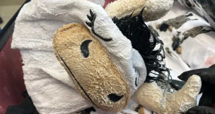 Insólito modus operandi: hombre es detenido tras impregnar de droga un disfraz de vaca en EE.UU