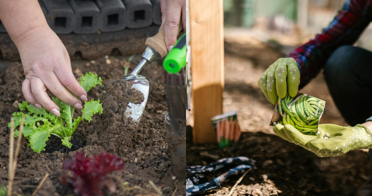 5 elementos imprescindibles para armar tu terraza con presupuesto limitado este verano