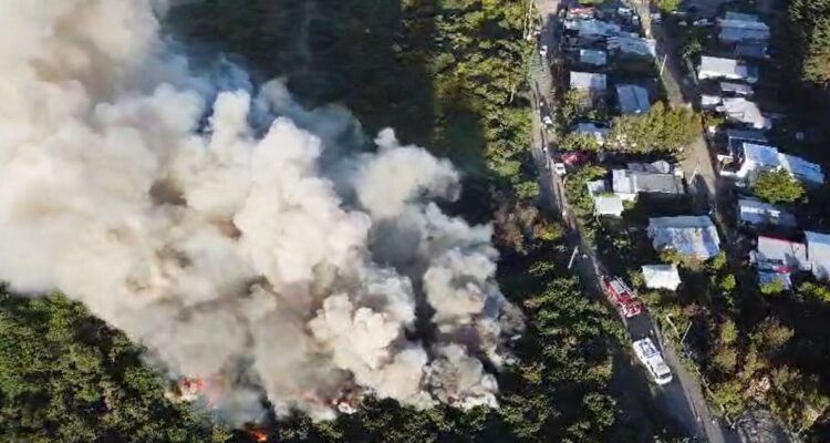 Senapred ordena evacuar Villa Mirador 5 de Castro por incendio forestal que amenaza a viviendas