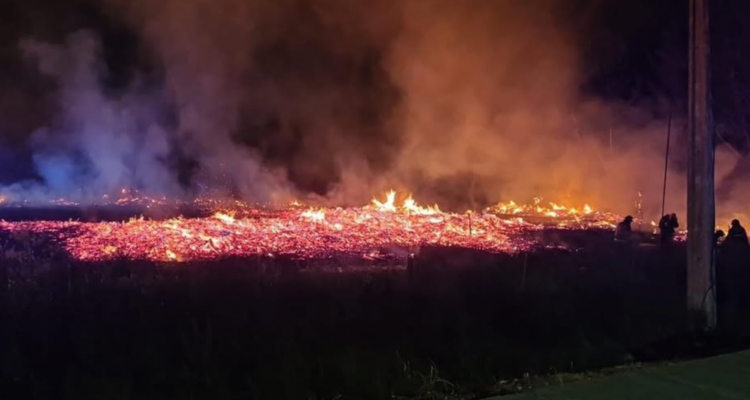 Incendio de grandes proporciones obligó a cerrar Ruta 5 Sur, a la altura de Linares