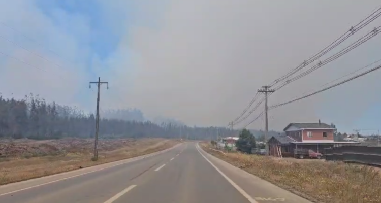 Alerta Temprana Preventiva para la región del Bío Bío por incendio forestal