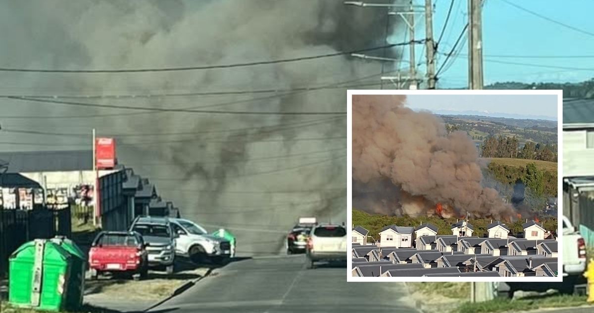 Bomberos y Conaf lograron contener incendio forestal en Castro
